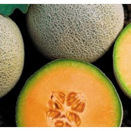 Melón Calameño