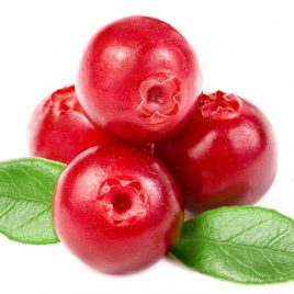 Cranberries 1/4 kg