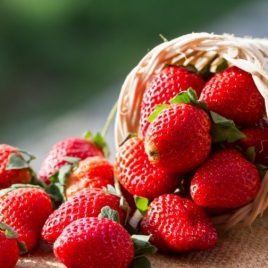 Frutillas 1kg