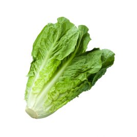 Lechuga Costina Und
