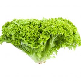 Lechuga Lollo Verde Und