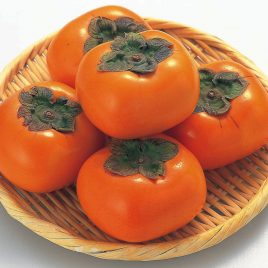 Mancaqui Kg