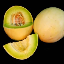 Melón Tuna