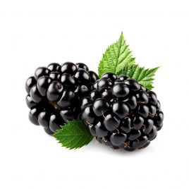 Moras Kg