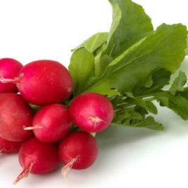 Rabanitos (Paquete)