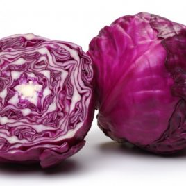 Repollo Morado Und