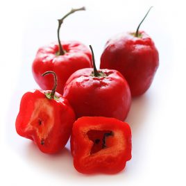 Rocoto Kg
