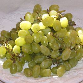 Uva Blanca sin pepa Kg